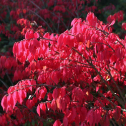 a7bef305_bd5b_11ec_94f1_d050999674bd_98b9890b_463d_11ee_8ae2_d85ed3a392ab.resize2