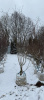 97219EC6-2232-4B65-9D9C-7441F933