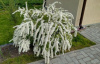 70_6c072e33ce2411eda760e0d55ea085ff_c4fce64cce2f11eda760e0d55ea085ff